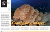 X-Ray Mag #74 | August 2016 · 85 X-RAY MAG : 74 : 2016 EDITORIAL FEATURES TRAEL NEWS WRECS EUIPMENT BOOS SCIENCE ECOLOGY TECH EDUCATION PROFILES PHOTO IDEO PORTFOLIO The key to any