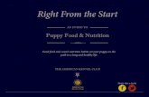 Puppy Food and & Nutrition E-Book - American Kennel Clubimages.akc.org/pdf/ebook/puppy_food_nutrition.pdf · Share this e-book "ere are general rules for feeding any puppy, but there