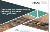 Indonesia Mining Sector Diagnostics (MSD) FINALdocuments.worldbank.org/curated/en/... · BIG Badan Informasi Geospasial (Geospatial Information Agency) BKF Badan Kebijakan Fiskal
