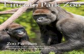 Zoo Families - Lincoln Park Zoo · Park Zoo’s chimpanzees and gorillas. “Whenever I’m in town, I drop in,” she says. “I end up with that passion—I want to go see my kids!”