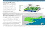 School to Sea Education Materials WATERSHED BACKGROUND€¦ · the Carolinas and Georgia, where sediment from continental erosion has accumulated for over 150 million years. Farther