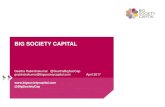 BIG SOCIETY CAPITAL - Inside Government · Sarah Atkinson, Director of Policy and Communications, Charity Commission ... Big Society Capital Limited is registered in England and Wales