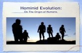 Hominid Evolution - Miami Arts Charter...several species in the genus Homo that came before Homo sapiens. • Homo habilis is the earliest fossil discovered so far. (2.3 million years
