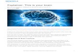 Explainer: This is your brain - WordPress.com · 2017-05-25 · Explainer: This is your brain TOP: There are many different parts of the brain with their own speciﬁc function. There
