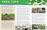 Bartlett Tree Tips - Spring 2015 · Your Bartlett Arborist can thoroughly inspect your trees and shrubs. A soil analysis will tell you if fertilization is indicated. Get Electronic