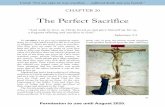 The Perfect Sacrifice · 2020-04-06 · God. Without sanctifying grace, no one could make a perfect sacrifice. That is why Jesus came. As the sinless man, he could make the accept-able