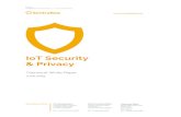 IoT Security & Privacy - sentrybay.com security and privacy_040715.pdf · their IoT sweet spot in analytics, Booz Allen who have developed an IoT strategy, AT&T who’s focus is the