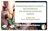 Transforming almond orchards – tree architecture and ... · University of Adelaide researching avocado tree architecture. He has worked with the apple, avocado, kiwifruit and persimmon