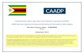 Comprehensive Africa Agriculture Development Programme (CAADP… · 2013-10-07 · Comprehensive Africa Agriculture Development Programme (CAADP) ... Food Security (food availability,
