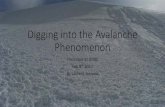 Digging into the Avalanche Phenomena - unbc.ca · Digging into the Avalanche Phenomenon Presented at UNBC Feb 8 th 2017. By Laurent Janssen
