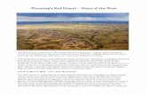 Wyoming’s Red Desert – Heart of the West€¦ · The Red Desert is the gem of Wyoming’s wild west heritage—a place where sweeping vistas, iconic landforms, big game, cultural