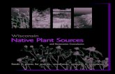 Wisconsin Native Plant Sources - Extension Rusk County · 2017-07-17 · Wisconsin Native Plant Sources T ... scaping because buffers of native plants near water can help keep soil,