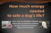 Asist. Prof. Dr. Kochakorn Direksin Department of ... · example: “Dr. Jane’s Beef Dog Food” = meat of 95% ... the ground chuck, you will supply your dog with a diet that contains