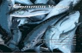 Common Voices - Dakshin Foundation · 2013-05-25 · The FAO’s State of World Fisheries and Aquaculture (SOFIA) dated 2008 states that marine capture fisheries accounted for 81.9