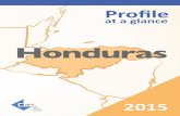 Honduras - JIPS · In Honduras, the polical acknowledgment of internal displacement and the creaon of the CIPPDV successfully supported advocacy and appropriaon of the exercise and