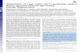 Involvement of a gut retina axis in protection against ... · Involvement of a gut–retina axis in protection against dietary glycemia-induced age-related macular degeneration Sheldon