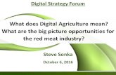 What does Digital Agriculture mean? What are the …...2016/02/10  · What does Digital Agriculture mean? What are the big picture opportunities for the red meat industry? Digital