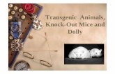 Transgenic Animals, Knock-Out Mice and Dollystaff.unila.ac.id/.../files/2020/04/Transgenic-Animals-2.pdfTransgenic animals: – Animals which have been genetically engineered to contain