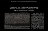 Lessons in IBD pathogenesis from new animal models of ...downloads.hindawi.com/journals/cjgh/1995/491264.pdfof transgenic and targeted gene deleted (knockout [KO]) rodents has yielded