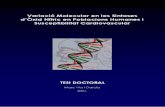 Marc Via Tesi Doctoral - UBdiposit.ub.edu/dspace/bitstream/2445/35901/1/MVG_Tesi...Publicamos para no pasarnos la vida corrigiendo borradores. Jorge Luis Borges (1899-1986) Las matemáticas