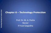 Chapter 6 – Technology Protection - IT-hubithub.edu.pk/technologyManagement/Chapter6.pdf · to both trademarks and service marks. –Unlike patents and copyrights, trademarks do