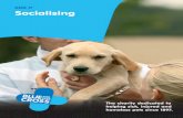 DOG 17 Socialising - Blue Cross · 2015-04-09 · DOG 17 Socialising. The charity dedicated to helping sick, injured and homeless pets since 1897. 2 s . d g e e ... may grow up to