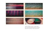Phenomena 16mm. Color. 6 min. . ..As though you …vasulka.org/Kitchen/PDF_ExpandedCinema/colorplates.pdfmadness." (See page 295.) James Seawright: Capriccio for TV. 1969. Hi-Band