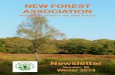 NEW FOREST ASSOCIATIONnewforestassociation.org/wp-content/uploads/2016/... · New Forest, and also the report on the walk to the Frohawk Ride, offer ... day’s recce, there were