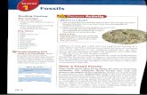 laurasacaciaclassroom.weebly.com · 2019-04-04 · Fossils and Past Environments Paleontologists use fos- Sils to build up a picture of Earth's past environments. The fossils found