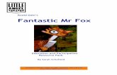 Roald Dahl’s Fantastic Mr Fox - Little Angel Theatre€¦ · magical underground 5 Little Angel Theatre Kids and adults alike enjoy Roald Dahl’s deliciously introduce us to fantastic