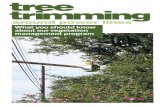 tree trimming - FirstEnergy · tree trimming around power lines What you should know about our vegetation ... We appreciate your understanding. COMM5870-08-11-AI-AP. Typically, “directional