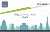 FUELS IN ACTION: GAS · Compressed natural gas ( CNG) Liquefied natural gas (LNG) Sources: Fossil fuel wells Renewable sources Liquid Petroleum Gas (LPG) Petroleum gas – mainly:
