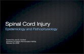 Spinal Cord Injury - cumming.ucalgary.ca · Spinal Cord Injury Epidemiology and Pathophysiology Forrest Hsu and Dr. Hurlbert University of Calgary Neurosurgery Halfday February 05,