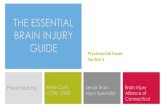 THE ESSENTIAL BRAIN INJURY GUIDE CBIS/5_ Psychosocial... · ACBIS Exam Study Outline Factors affecting duration of psychiatric symptoms Co-occurring brain injury and psychiatric illnesses