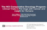The NCI Comparative Oncology Program: Clinical Trials in ... · human health. Data-driven research and discovery bridges human and canine oncology. Naturally-occurring cancers in