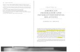 AMERICAN FEDERALISM AND INTERGOVERNMENTAL RELATIONS · FEDERALISM AND INTERGOVERNMENTAL RELATIONS ALBERTA M. SBRAGIA Although scholars have defined federalism in multiple ways, federalism