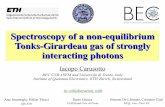 Spectroscopy of a non-equilibrium Tonks-Girardeau gas of ...carusott/SEMINARS/pisa08.pdf · The non-equilibrium world Thermodynamical equilibrium: Boltzmann probability distribution