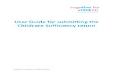 User Guide for submitting the Childcare Sufficiency return · User Guide for submitting the Childcare Sufficiency return . ... If you provide either after school activities/after
