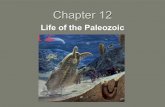 Chapter 12lynnrfuller.com/uploads/3/1/3/5/3135168/ch12part1keynotenewpart1.… · legged animals or tetrapods. • The transition from water-dwelling vertebrates to land-dwelling