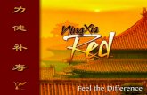 Ningxia - StoresOnline€¦ · Ningxia residents living more than 100 years exceeds the national average by an amazing 400%. Ningxia locals now admit their health secret lies in the