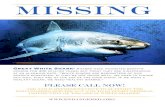 MISSInG - Endangered Species Coalition · MISSInG Great White Shark-Sharks have inhabited Earth’s oceans for 400 million years, but today they are disappearing at an alarming rate.