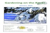 Gardening on the Rocks - Sudbury Horticultural Society revised nl.pdf · Sprouts and microgreens are recommended for household gardens. Even various lettuce types, root vegetables,