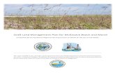 Draft Land Management Plan for McKissack Beach and Marshthearpc.com/wp-content/uploads/2020/01/McKissack... · Species found throughout include sea oats, cordgrass, railroad vine,