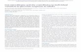 Gut microbiome activity contributes to individual ... · types – omnivore and vegetarian/gluten-free – in different phases of the study. We provided 104 unique pre-designed meals