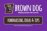 FUNDRAISING IDEAS & TIPS - Cancer Brown Dogcancerbrowndog.co.uk/wp-content/uploads/2014/11/Fundraising-Ide… · FUNDRAISING IDEAS & TIPS . All you need to do is: 1. ... Brown dog