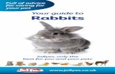 Your guide to Rabbits · Rabbits make lovely pets. They possess very caring and loving natures and really thrive on human interaction. Rabbits are very sociable animals and prefer