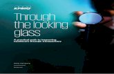 Through the looking glass - KPMG · 2020-05-26 · Through the looking glass A practical path to improving healthcare through transparency. Appendix Contents ... benefits, risks and