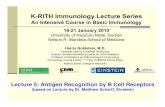 Lecture 5: Antigen Recognition by B Cell Receptorsstreaming.einstein.yu.edu/docs/conferences/immunologycourseinso… · Lecture 5: Antigen Recognition by B Cell Receptors (based on