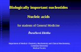 Biologically important nucleotides Nucleic acids · Biologically important nucleotides Nucleic acids for students of General Medicine Department of Medical Chemistry, Biochemistry