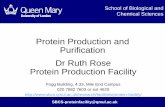 Protein Production and Purification Dr Ruth Rose Protein ... · Protein Production Summary •Plan your cloning thoroughly before you start •Check the nature of the protein that